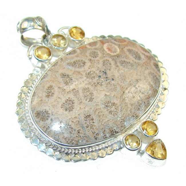 Excellent Fossilized Coral Sterling Silver pendant