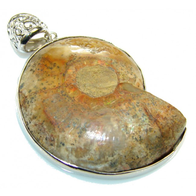 Amazing Design! Ammonite Fossil Sterling Silver Pendant