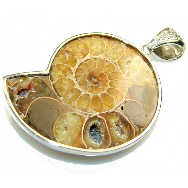Amazing Design! Ammonite Fossil Sterling Silver Pendant