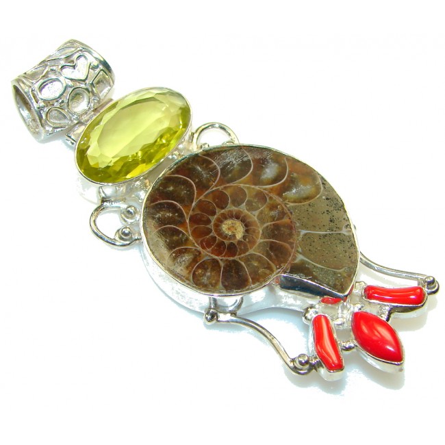Large! Stylish Ammonite Fossil Sterling Silver Pendant