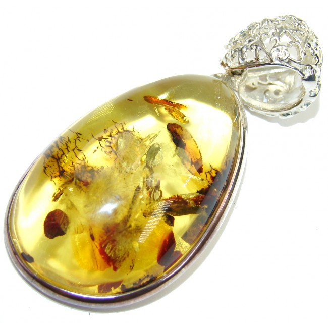 Mystery Central! AAA Baltic Polish Amber Sterling Silver Pendant