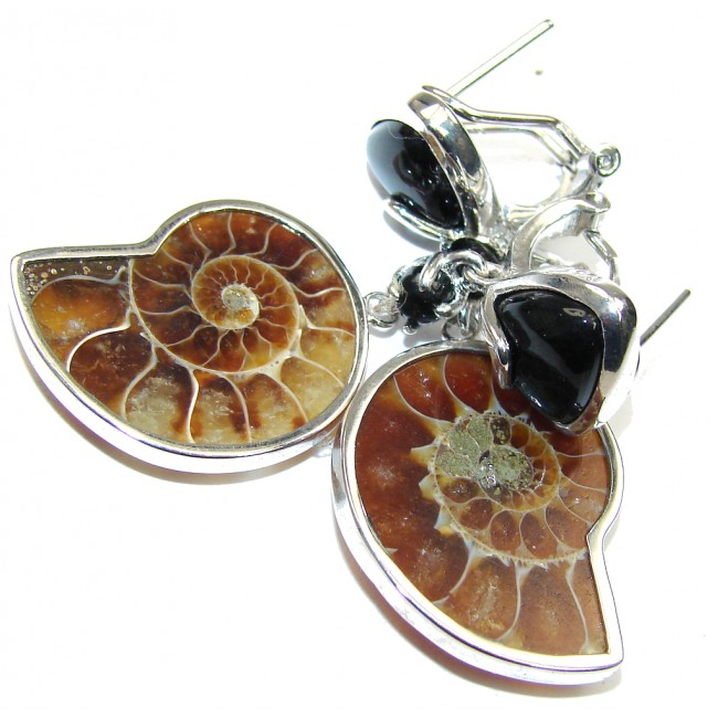 Amazing Shell Ammonite Fossil & Onyx Sterling Silver earrings