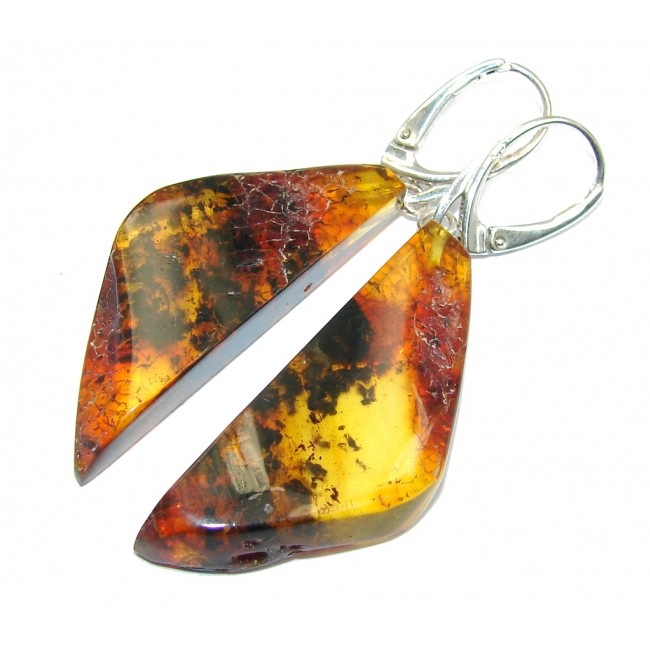 Big! Perfect Couple Baltic Amber Sterling Silver earrings