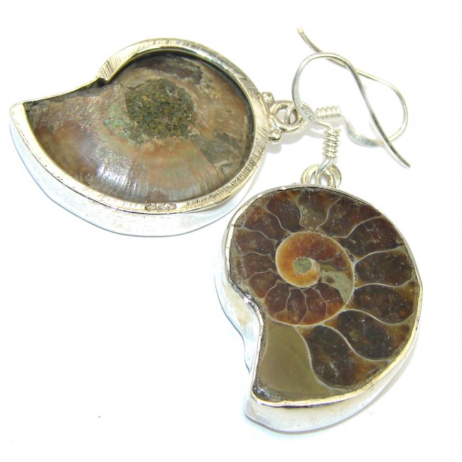 Fashion Shell Ammonite Fossil Sterling Silver earrings