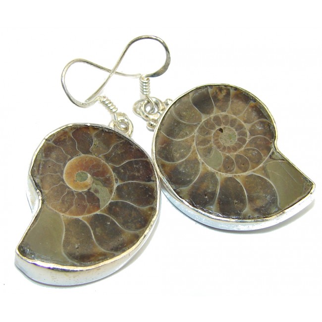 Fashion Shell Ammonite Fossil Sterling Silver earrings