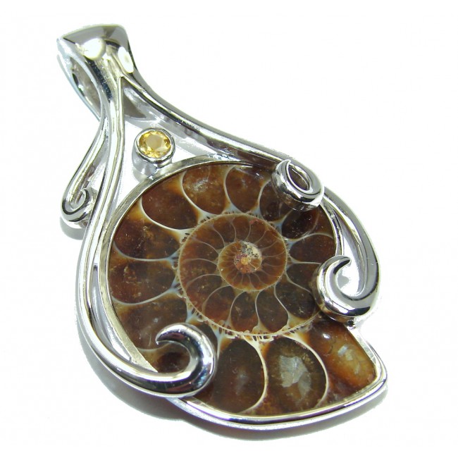 Brown Ammonite Fossil Sterling Silver Pendant