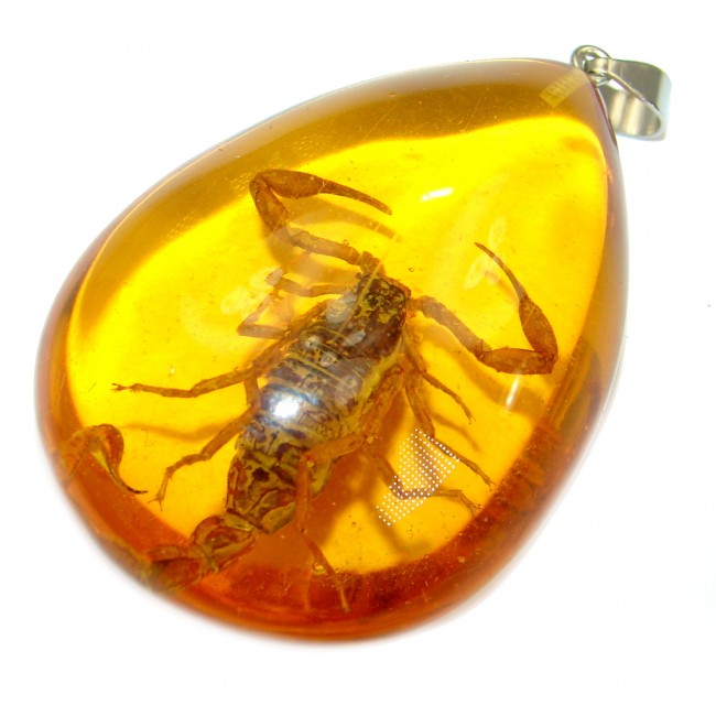Large Copal with genuine Scorpio Inclusion .925 Sterling Silver Pendant