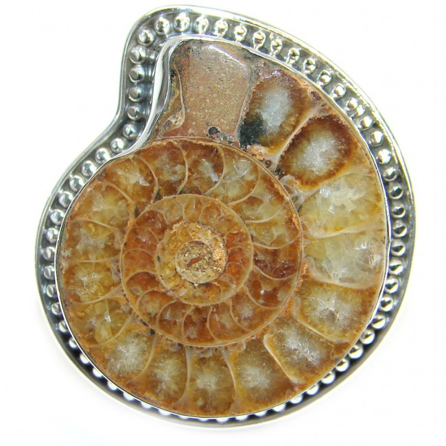 Stylish Brown Ammonite Fossil Sterling Silver Ring s. 9