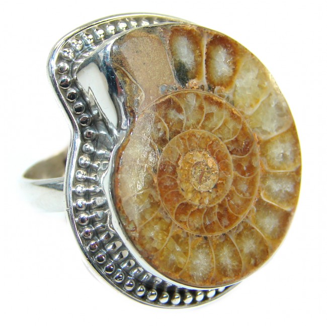 Stylish Brown Ammonite Fossil Sterling Silver Ring s. 9